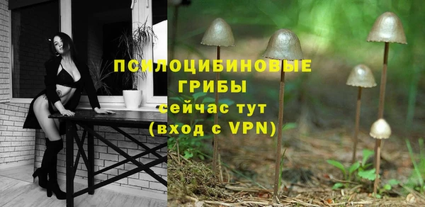 спиды Ладушкин